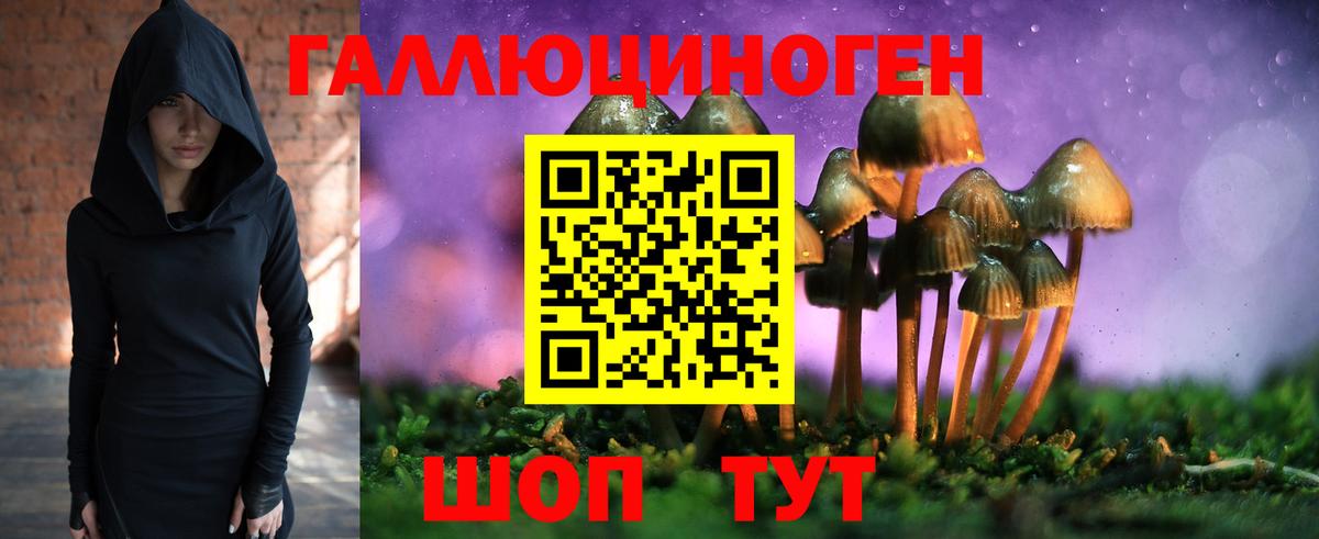 Бузулук  Псилоцибиновые грибы мухоморы  Вход с VPN 
